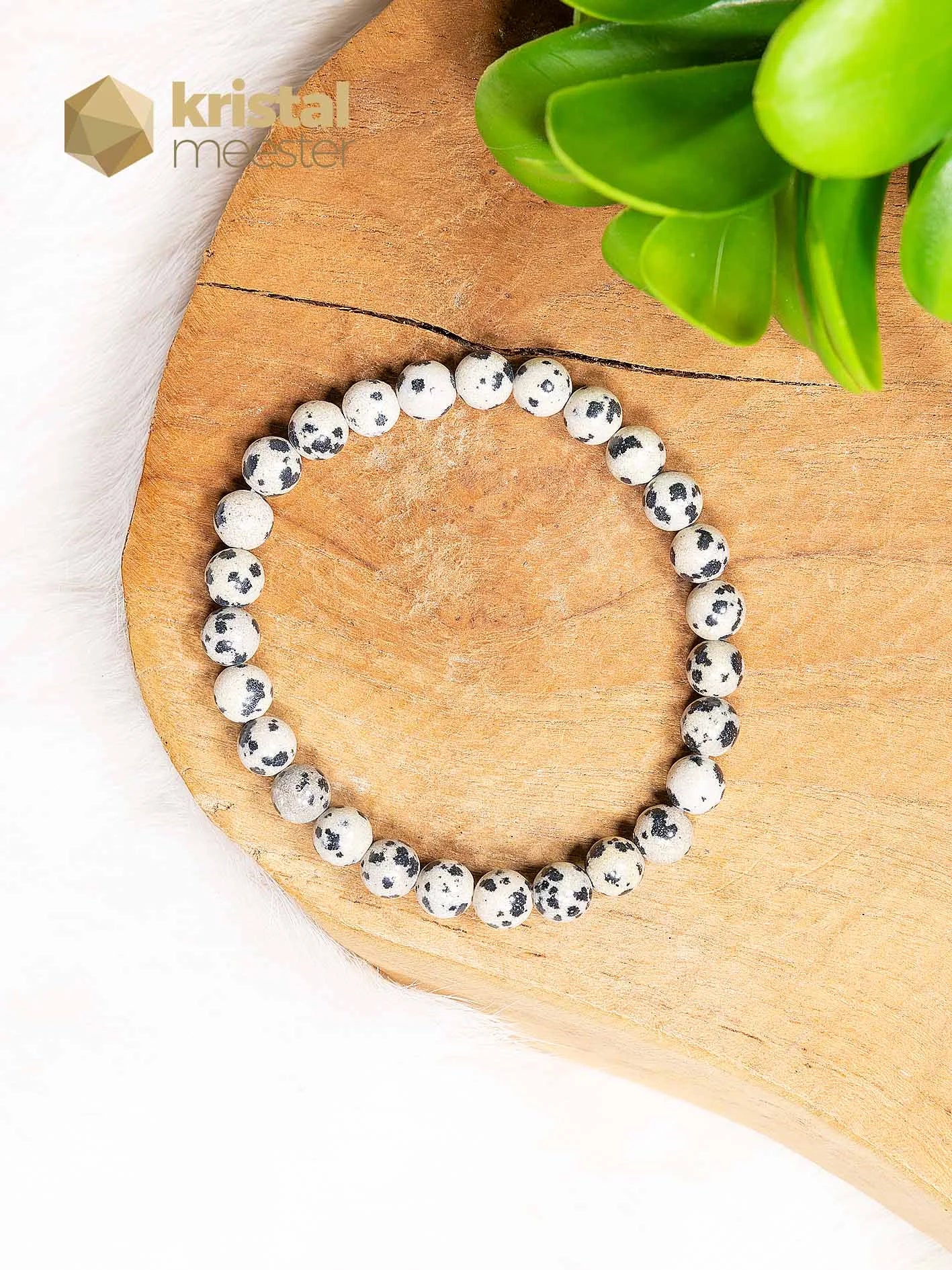 Dalmatiër Jaspis Kogelarmband - 6 mm