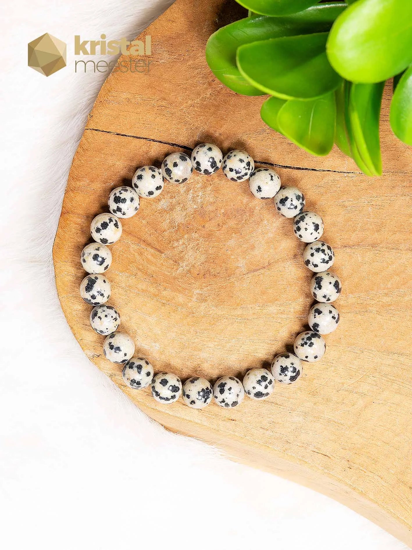 Dalmatiër Jaspis Kogelarmband - 8 mm