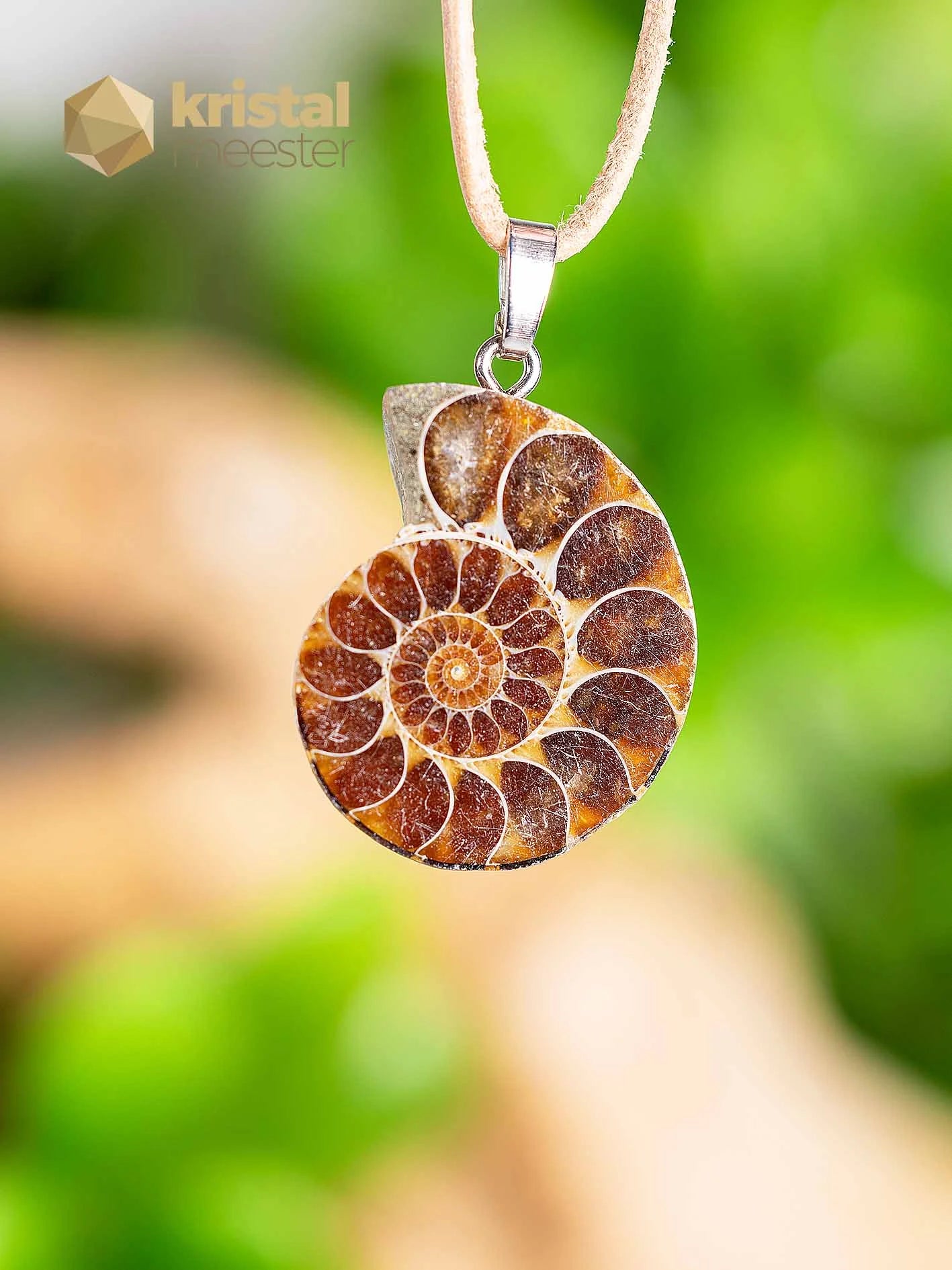 Ammonite Pendant with silver loop - no. 1