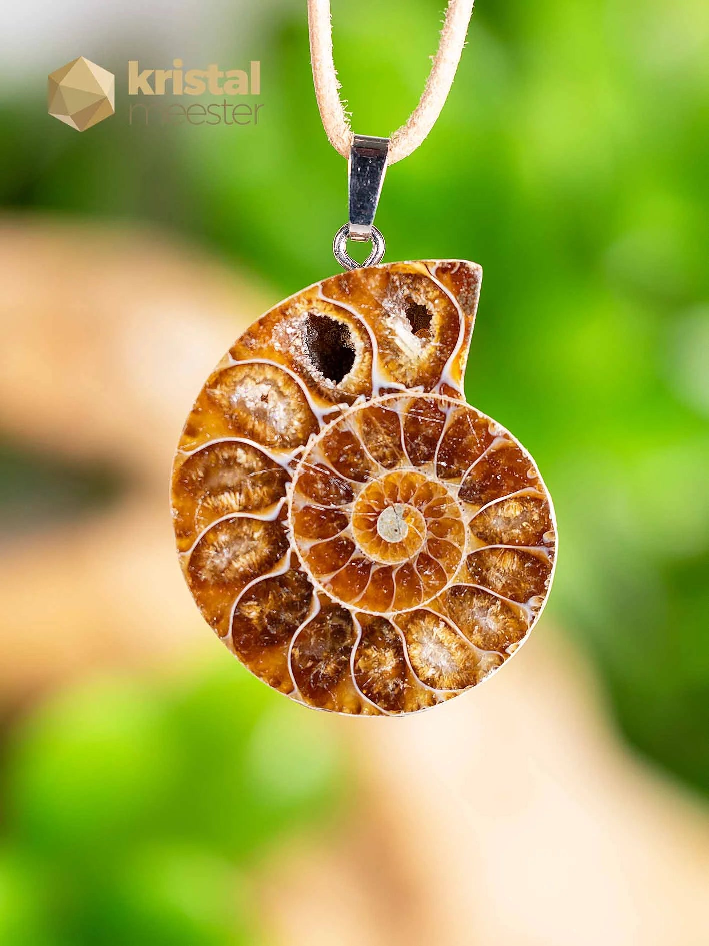 Ammonite Pendant with silver loop - no. 2
