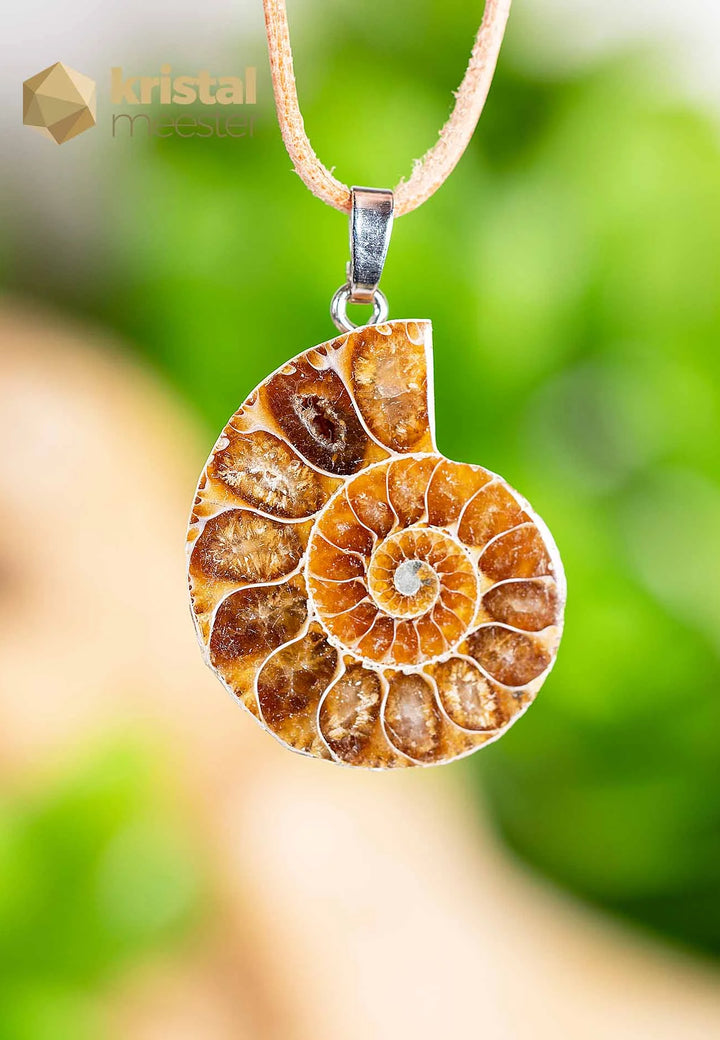 Ammoniet Hanger met zilver oog - nr. 2