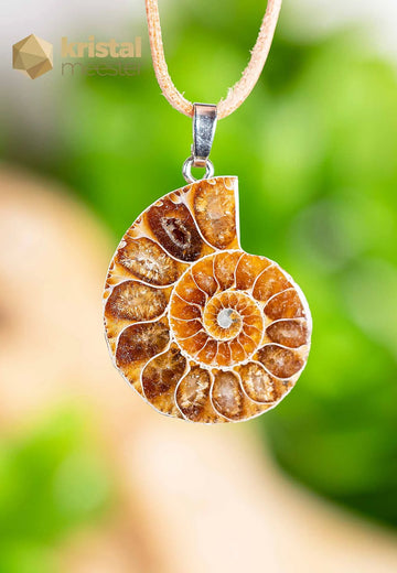 Ammoniet Hanger met zilver oog - nr. 2