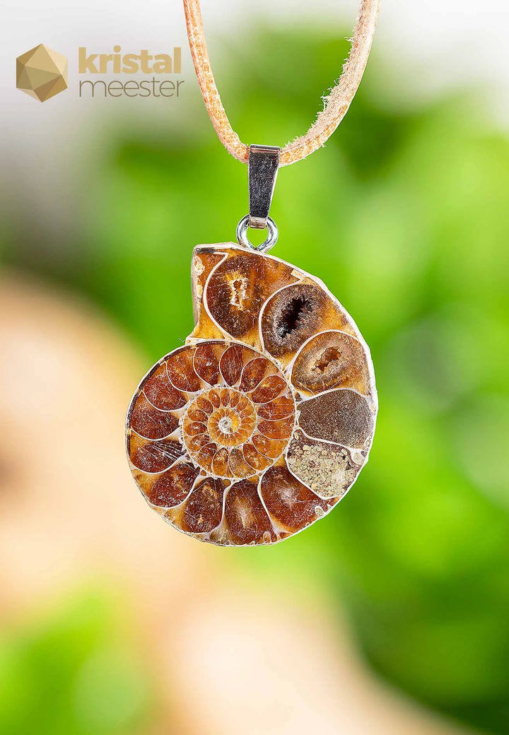 Ammoniet Hanger met zilver oog - nr. 4