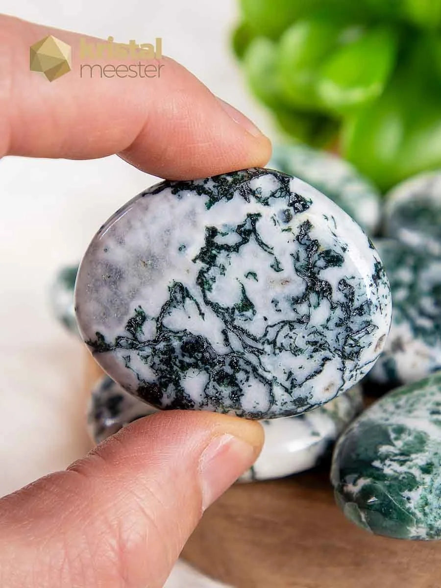 Tree Agate Pocketstones - size M