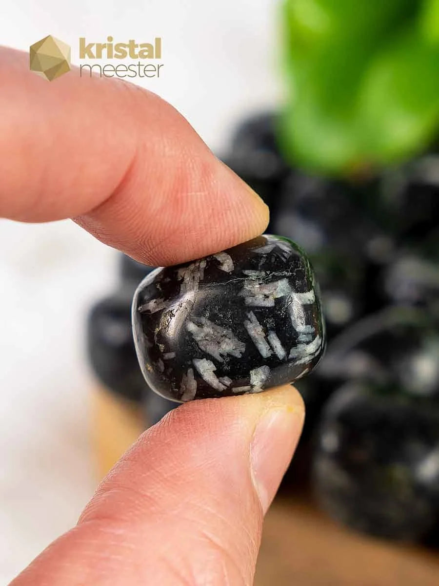 Chrysanthemum Tumbled Stones - Size M