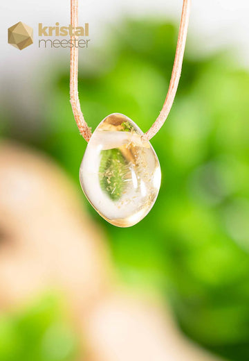 Citrien EX hanger doorboord- nr. 3