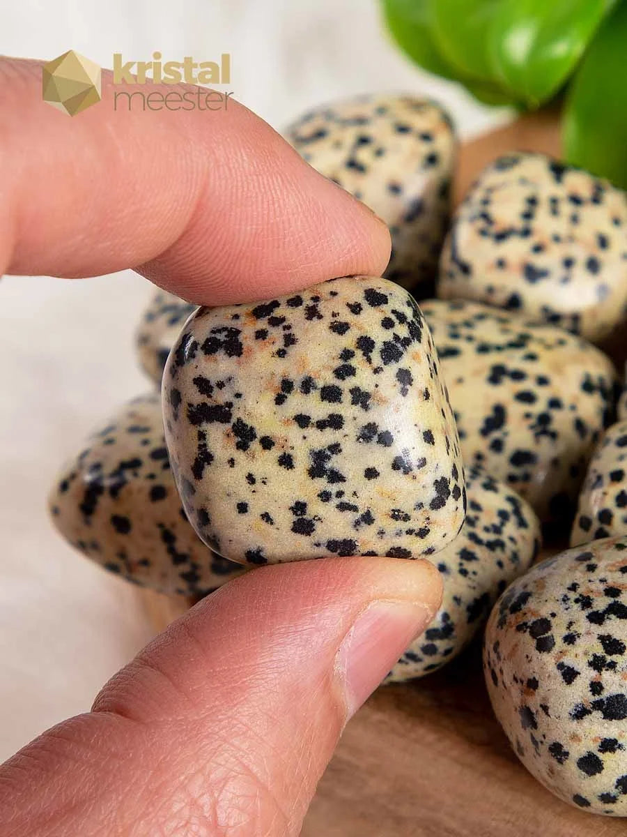 Dalmatian Jasper Tumbled Stones