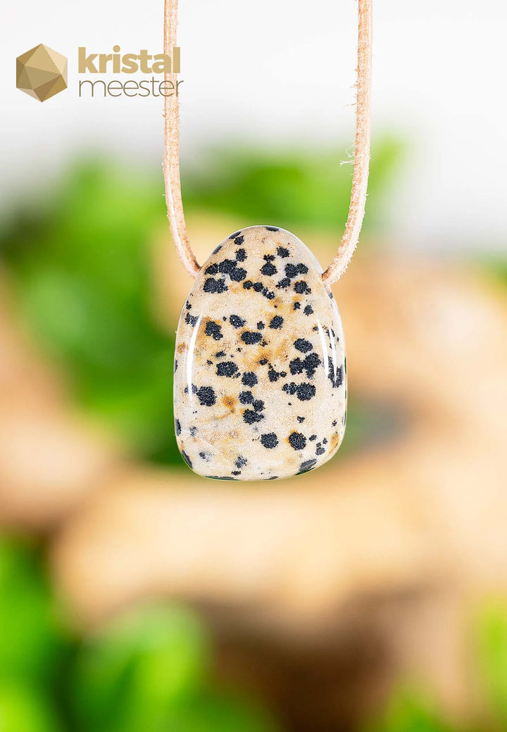 Dalmatian Jasper Pendant, drilled - no. 4