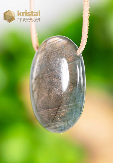 Labradoriet EX hanger, doorboord - nr. 6