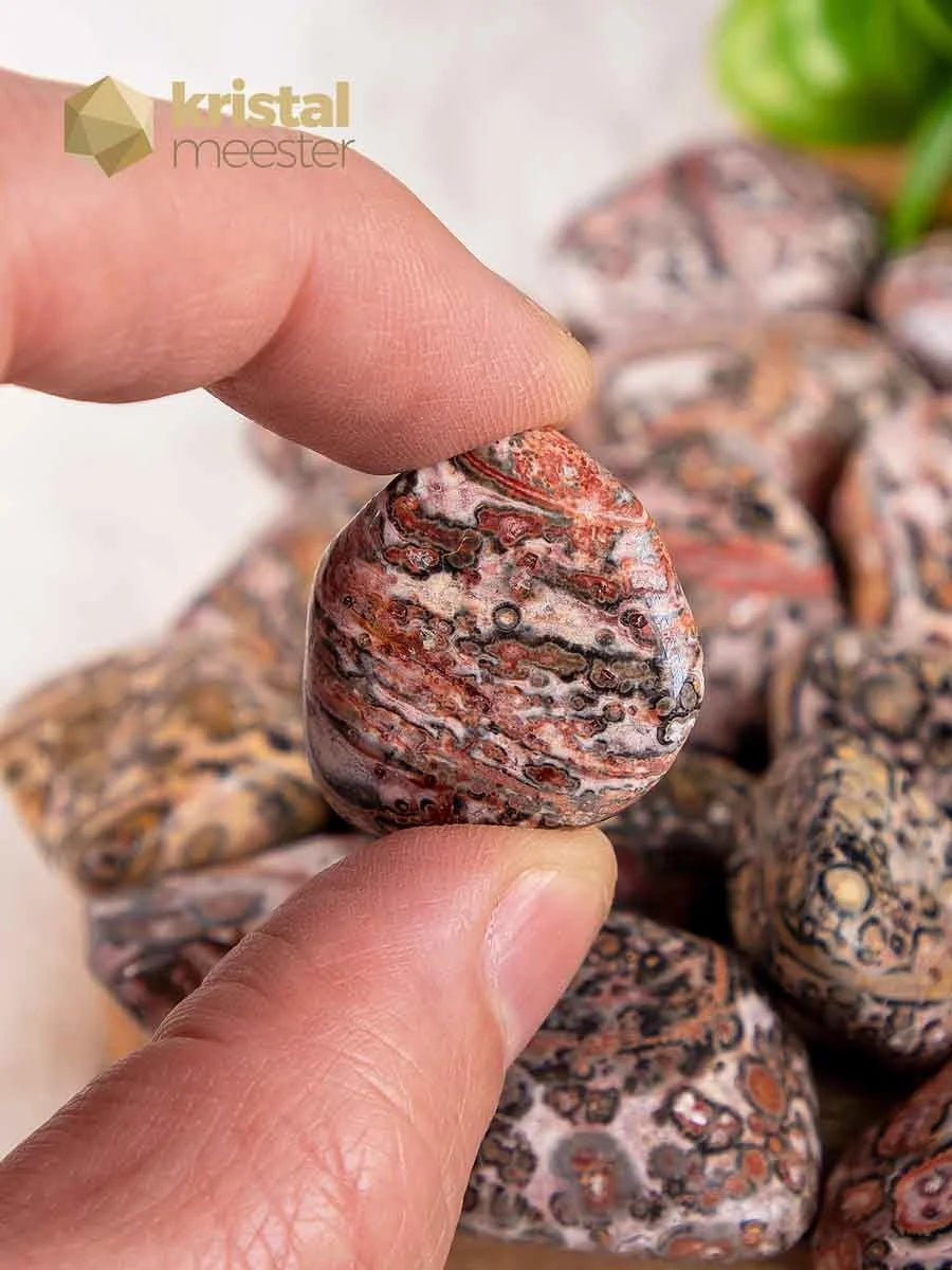 Leopard Jasper Tumbled Stones - size S