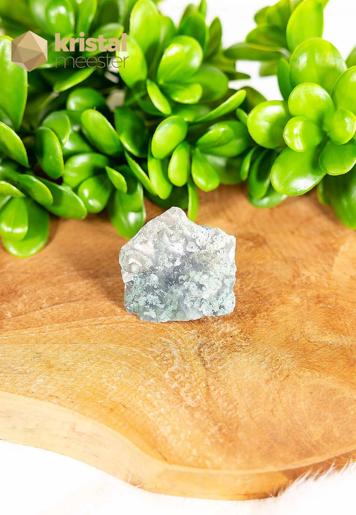 Moss Agate raw - no. 5