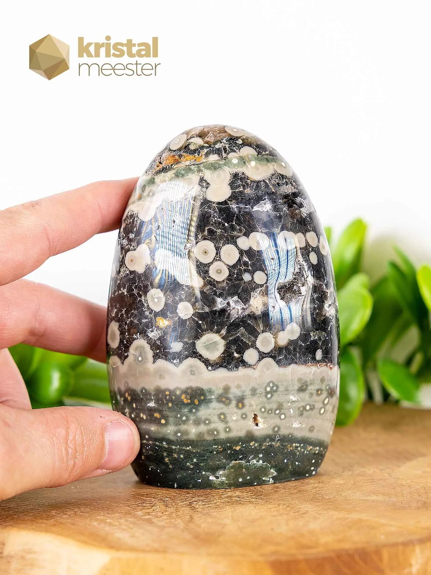 Ocean Jasper Freeform - no. 7