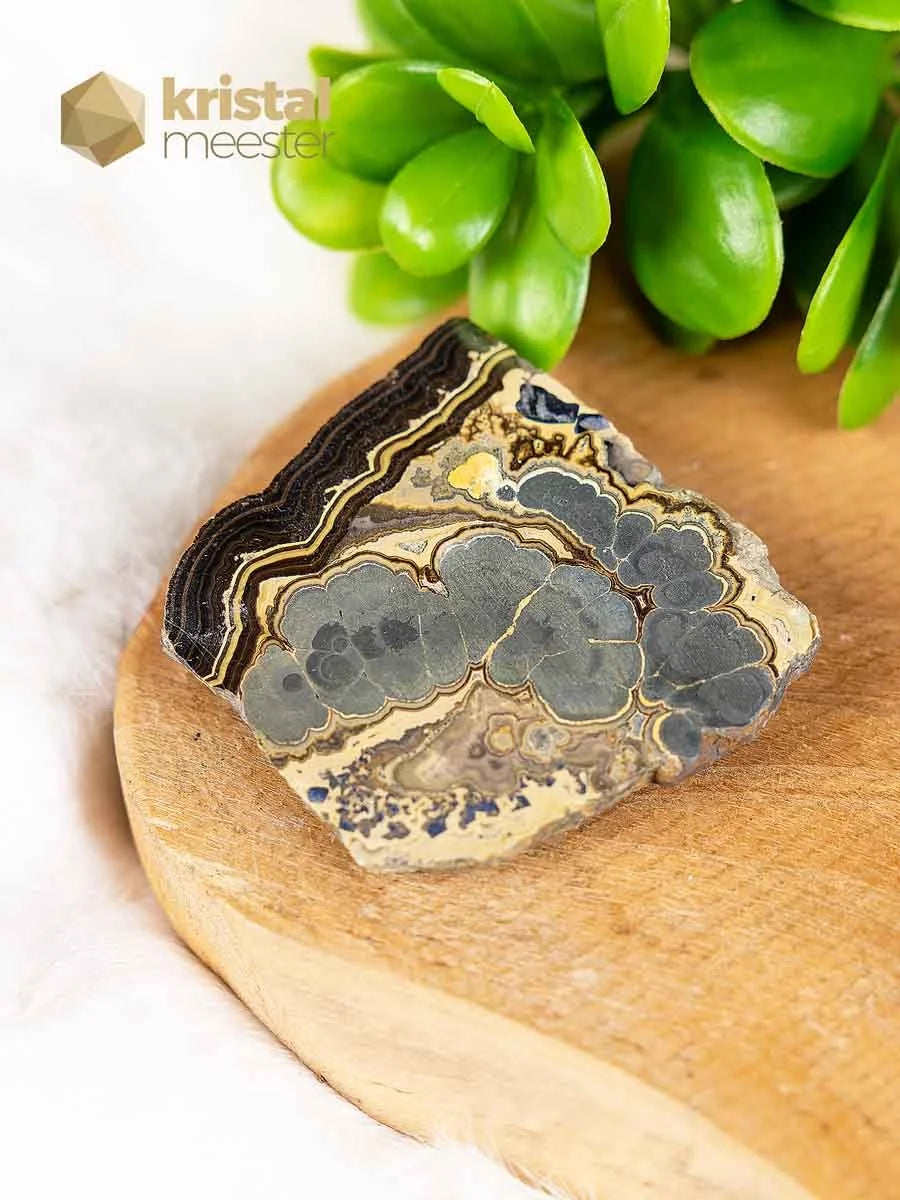 Schalenblende Slice - no. 3