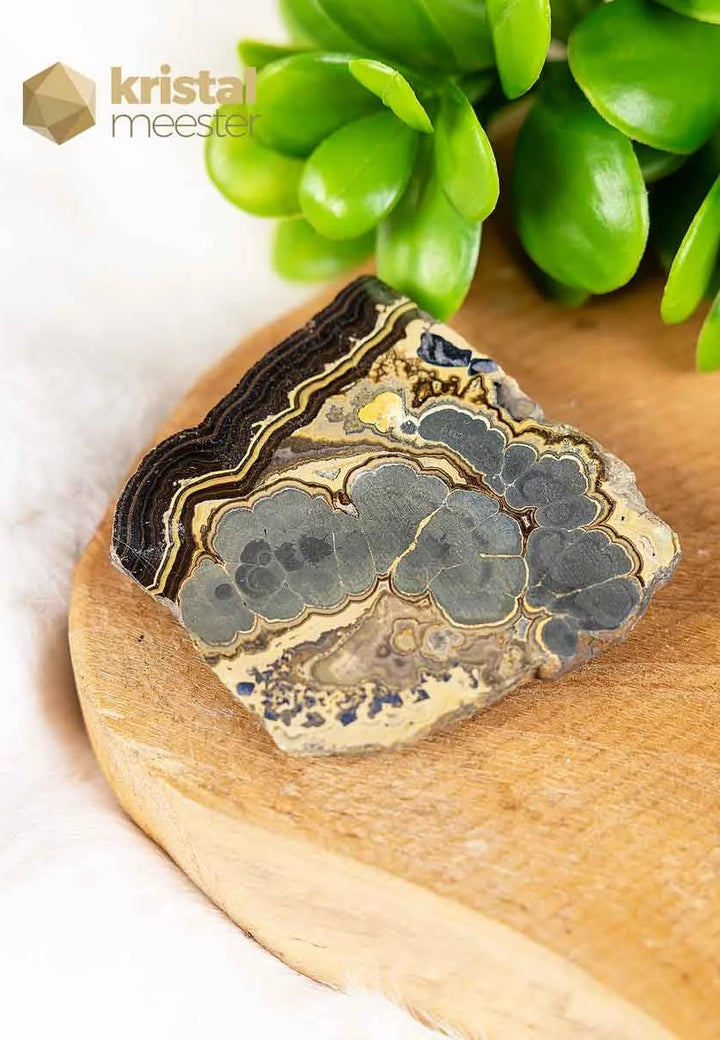 Schalenblende Slice - no. 3