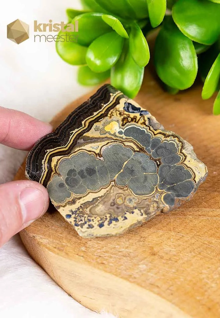 Schalenblende Slice - no. 3