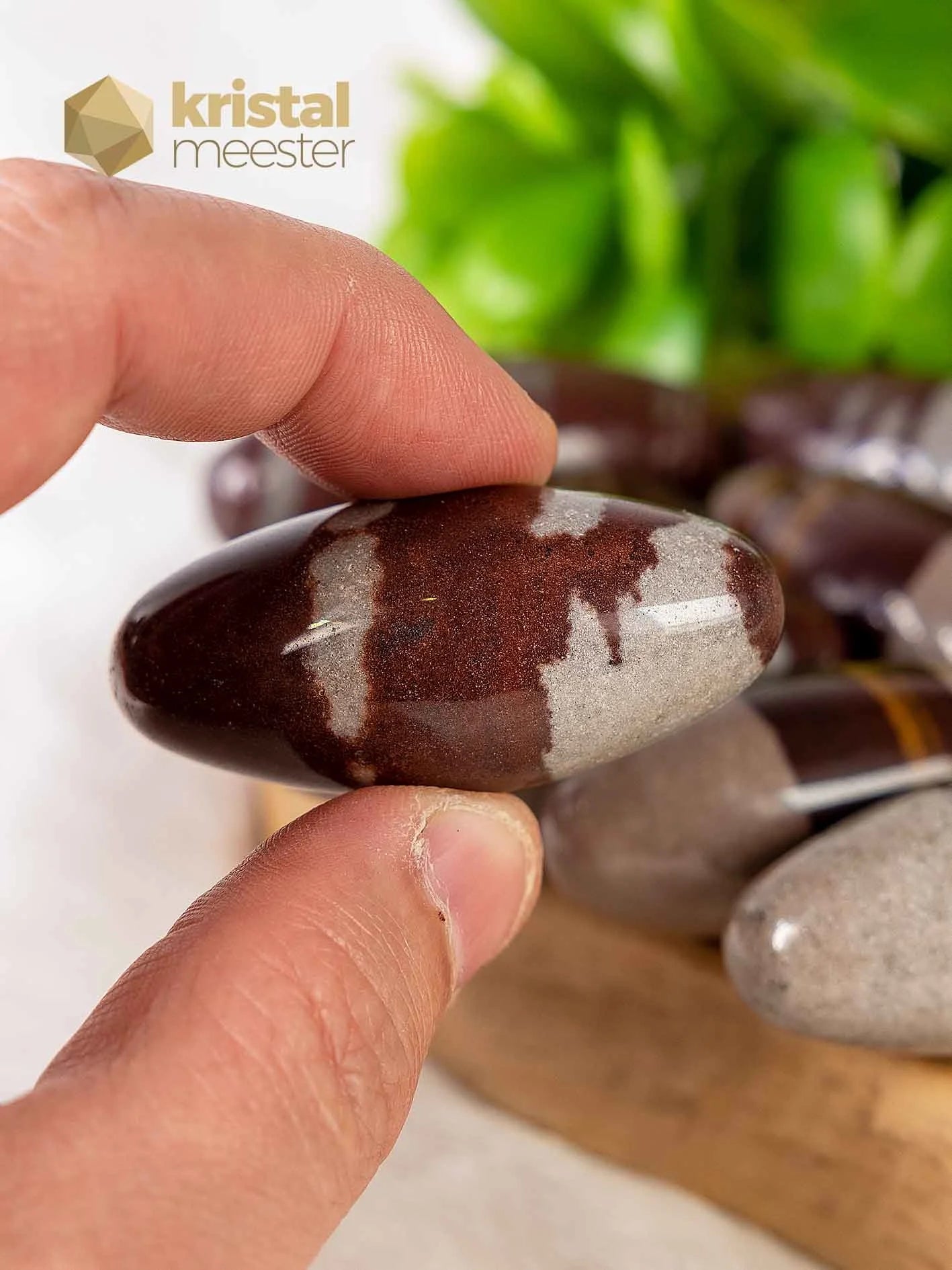 Shiva Lingam gepolijst - maat S