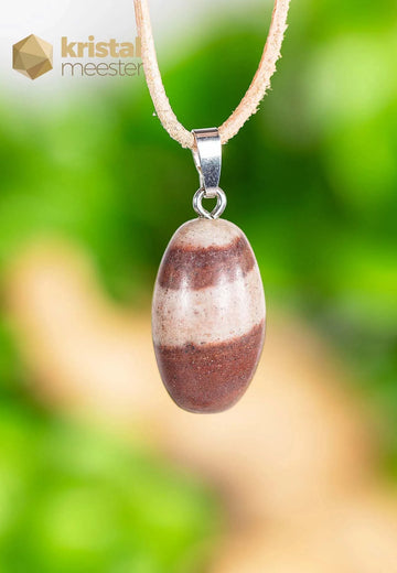 Shiva Lingam hanger met zilver oog - nr. 2