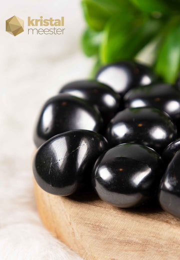 Shungite Tumbled Stones - Size M