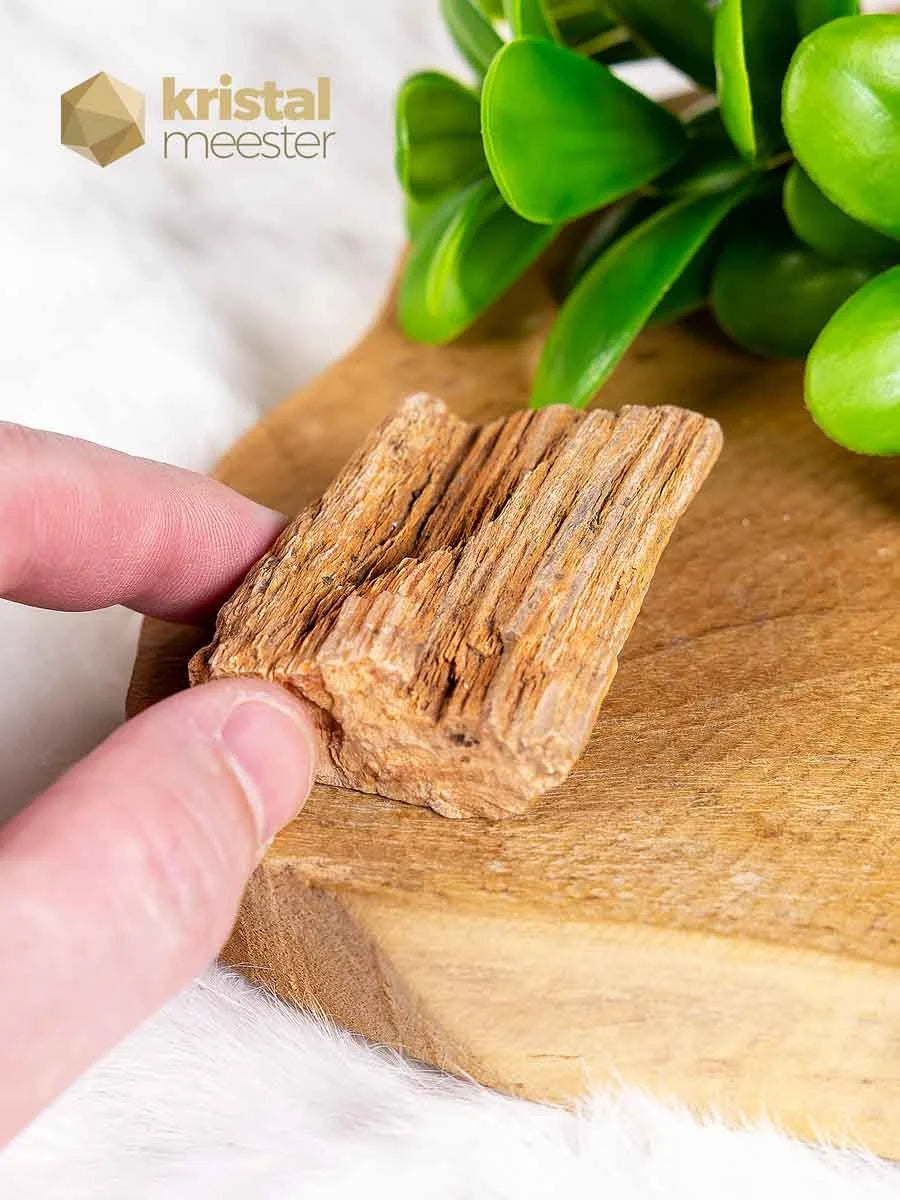 Versteend hout ruw - nr. 1