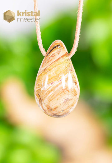 Petrified Wood pendant, drilled - no. 1
