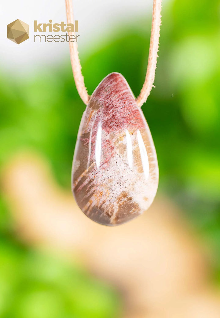 Petrified Wood pendant, drilled - no. 3