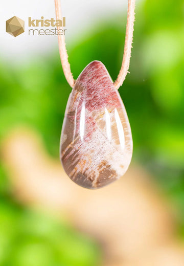 Petrified Wood pendant, drilled - no. 3