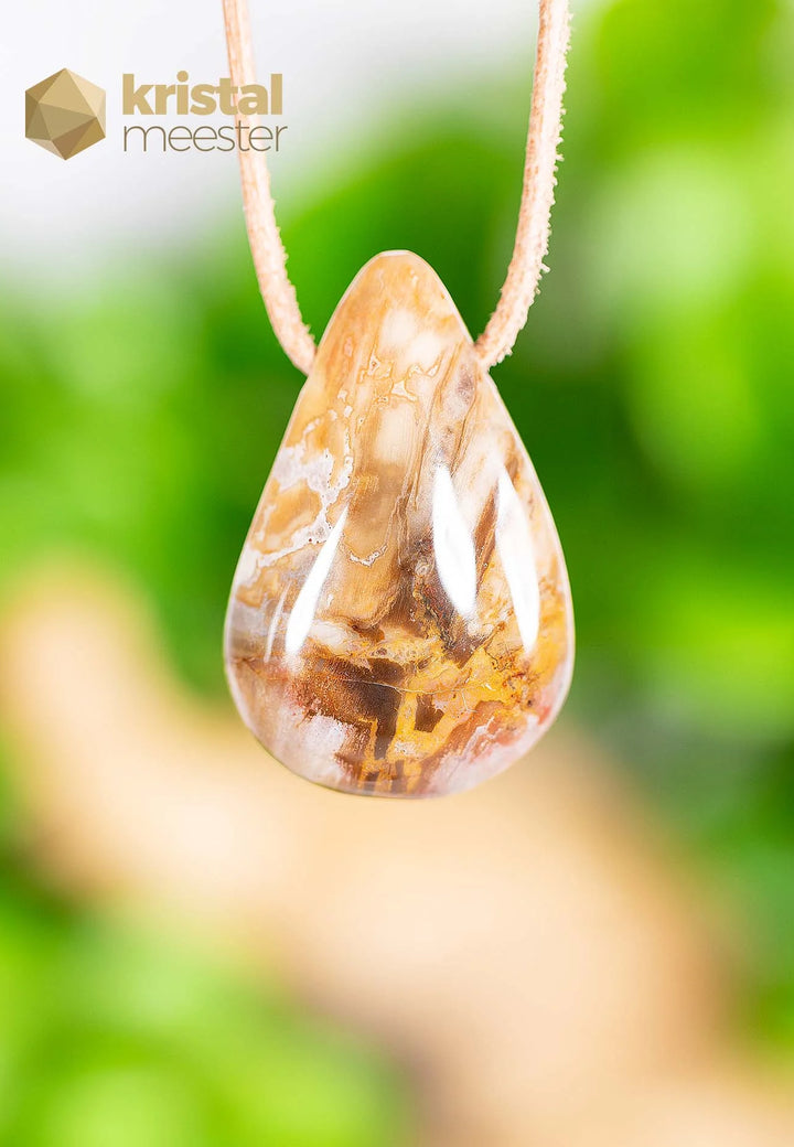 Petrified Wood pendant, drilled - no. 4