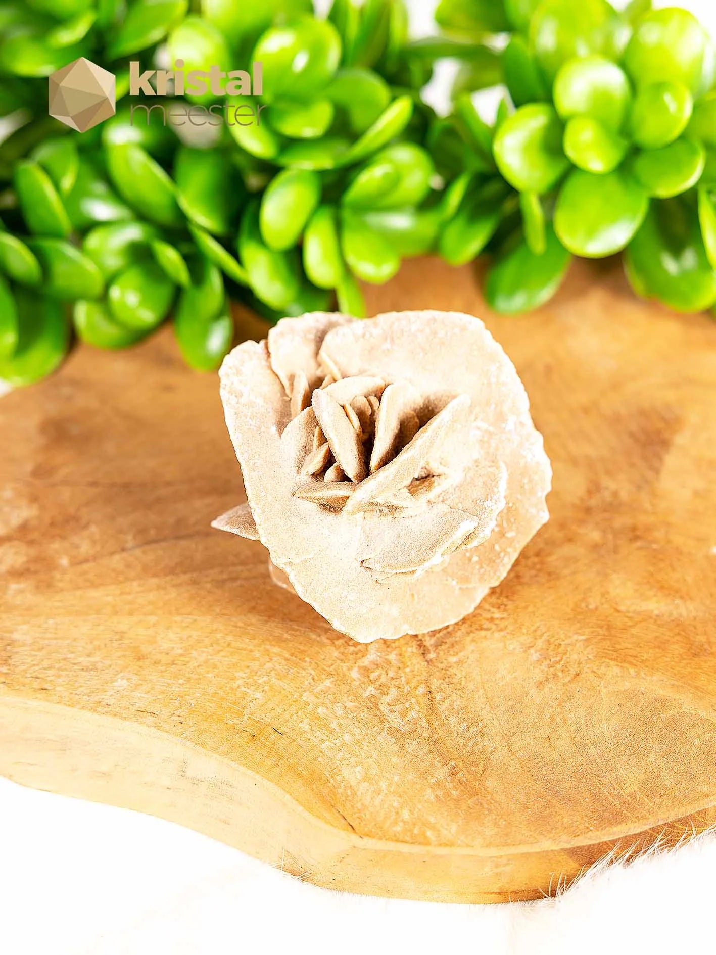Desert Rose raw - no. 1