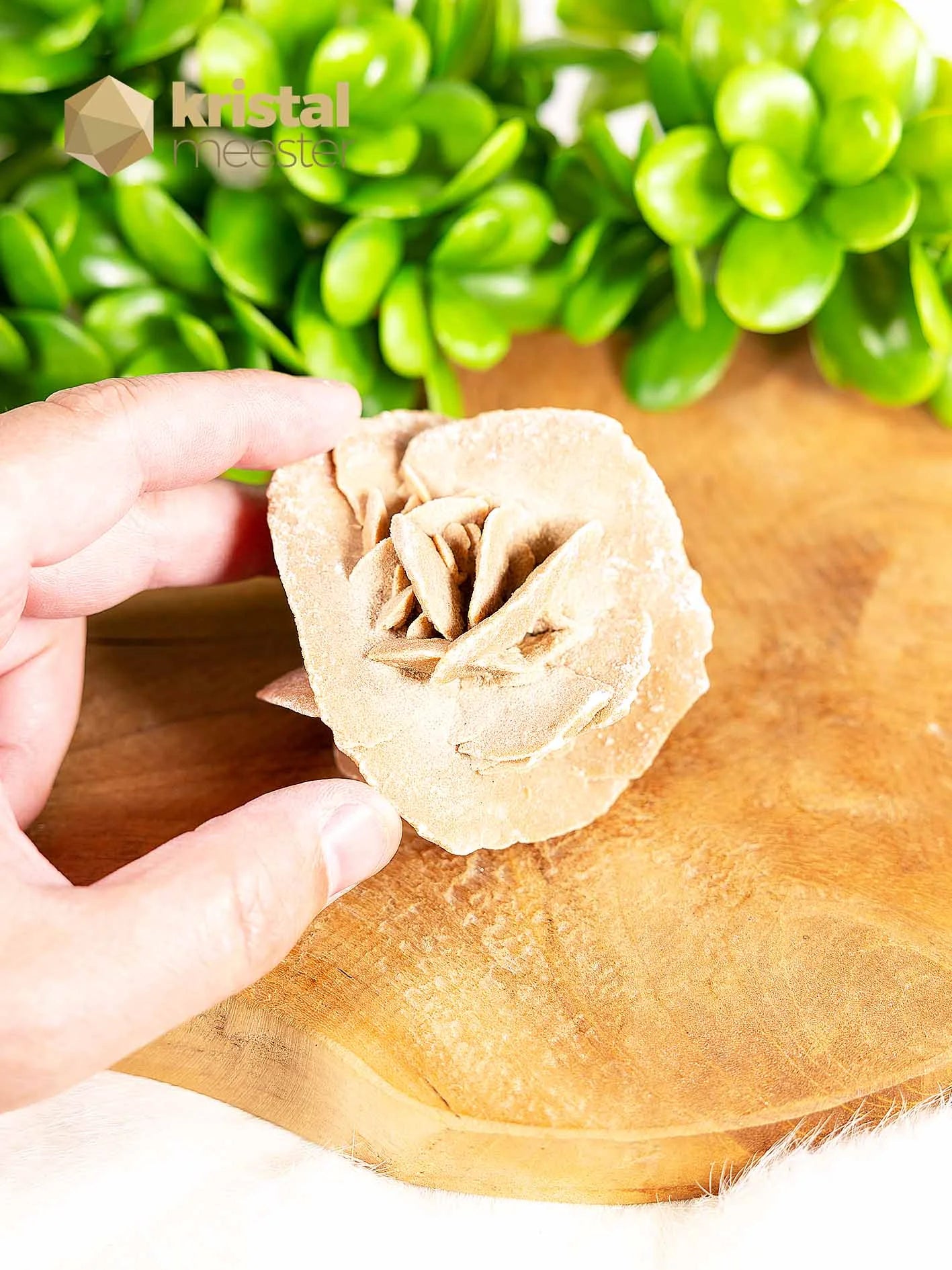 Desert Rose raw - no. 1