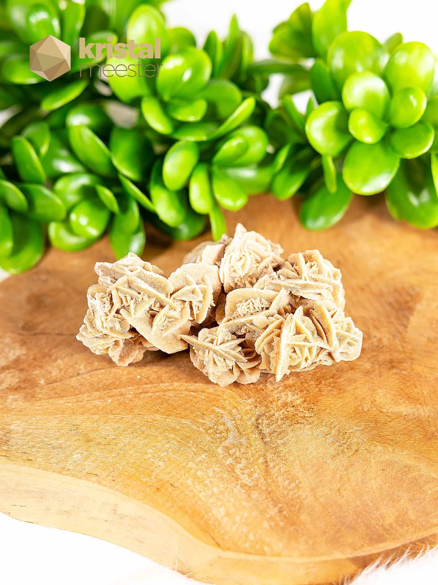 Desert Rose raw - no. 5