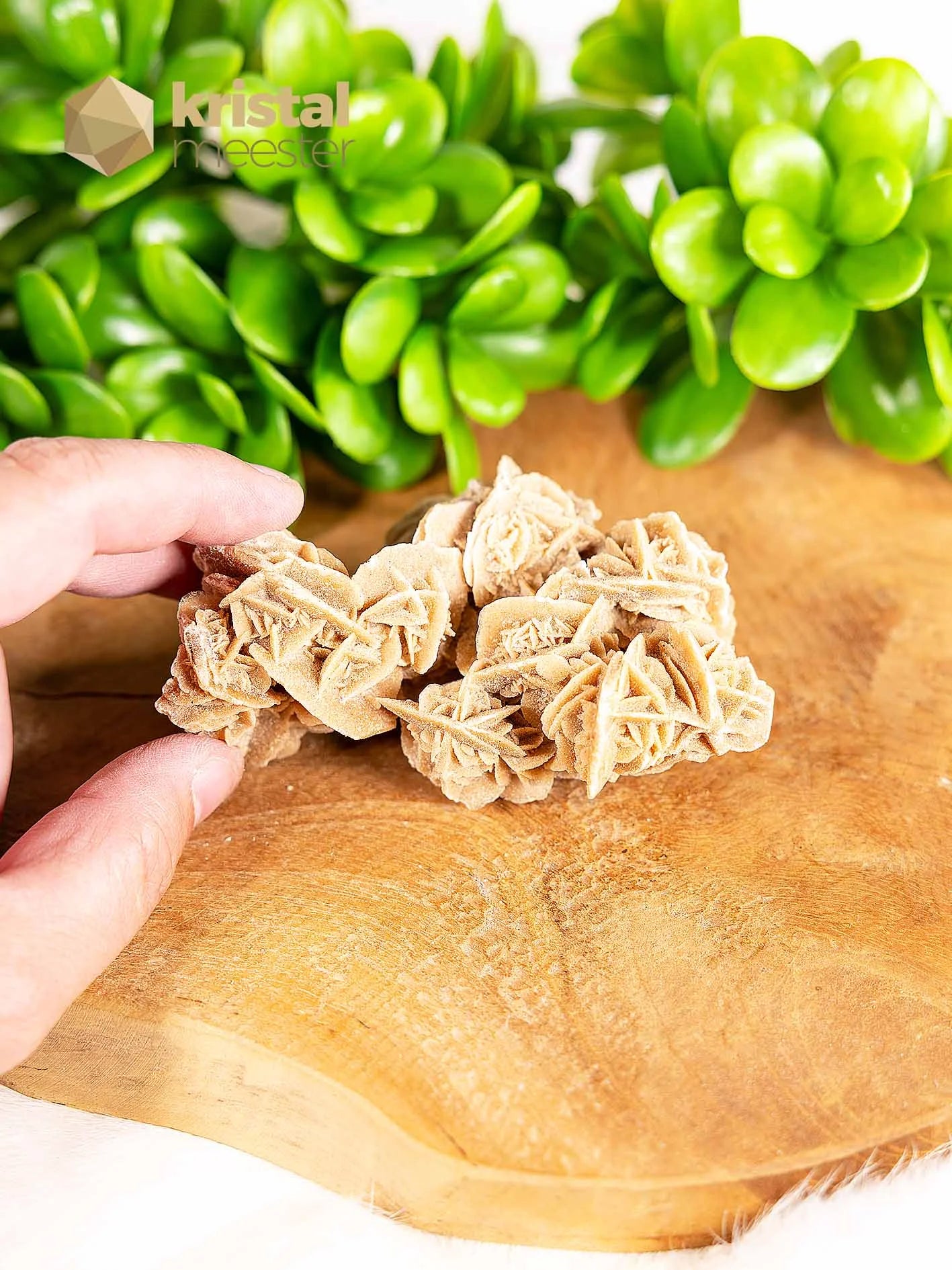 Desert Rose raw - no. 5