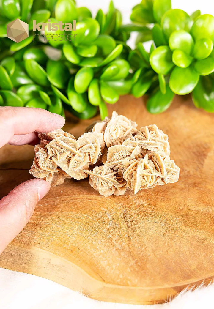 Desert Rose raw - no. 5