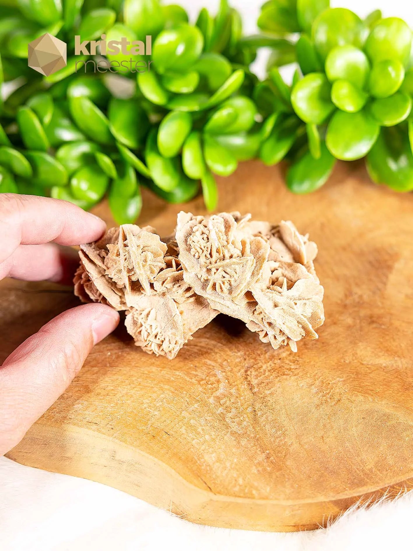 Desert Rose raw - no. 6